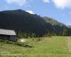 scheiblsee01.jpg