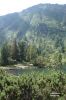 scheiblsee03.jpg